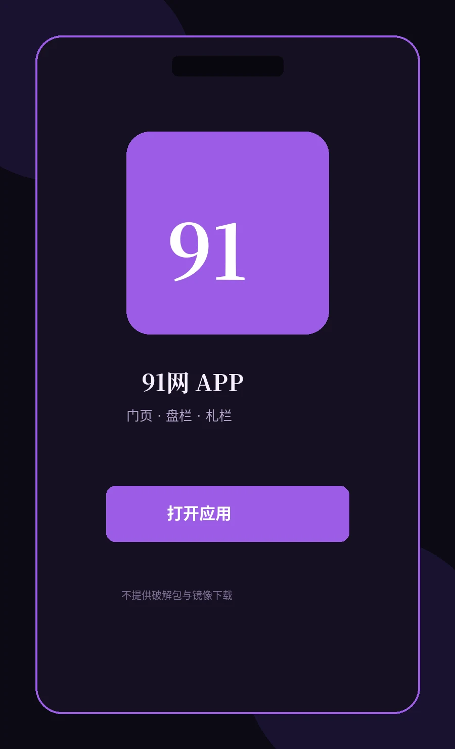 91网APP界面图
